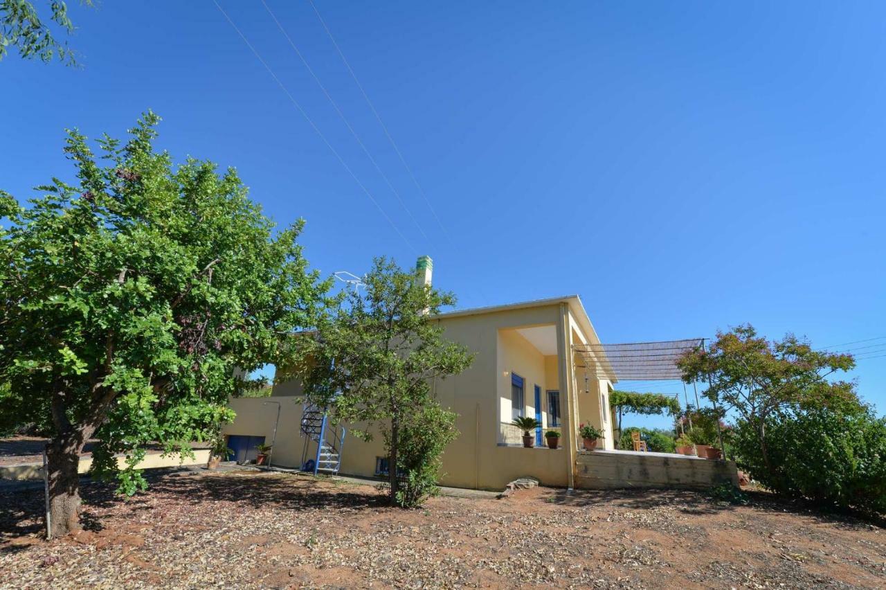 Santa Domenica Summer House Agia Kiriaki  Eksteriør billede